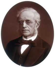 Sir Henry Cotton, Lord Justice of Appeal, 1881. Creator: Lock & Whitfield