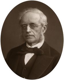 Sir Henry Cotton, Lord Justice of Appeal, 1881.Artist: Lock & Whitfield