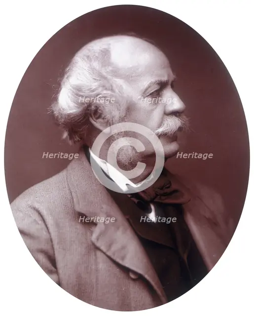 Sir Henry Creswicke Rawlinson, British soldier and orientalist, 1882. Creator: Lock & Whitfield.