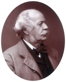 Sir Henry Creswicke Rawlinson, British soldier and orientalist, 1882. Creator: Lock & Whitfield