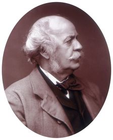 Sir Henry Creswicke Rawlinson, British soldier and orientalist, 1882. Creator: Lock & Whitfield