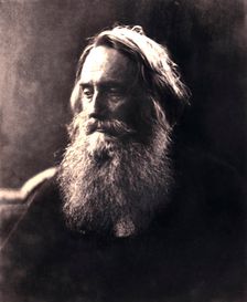Sir Henry Taylor, 19th century English dramatist.Artist: Julia Margaret Cameron