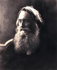 Sir Henry Taylor, 19th century English dramatist.Artist: Julia Margaret Cameron