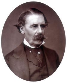 Sir Henry Thompson, surgeon, 1882. Creator: Lock & Whitfield