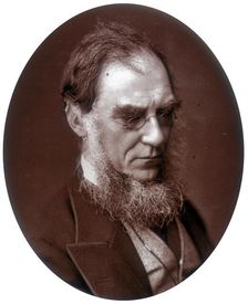 Sir Joseph Dalton Hooker, Director of Royal Gardens at Kew, 1881. Creator: Lock & Whitfield