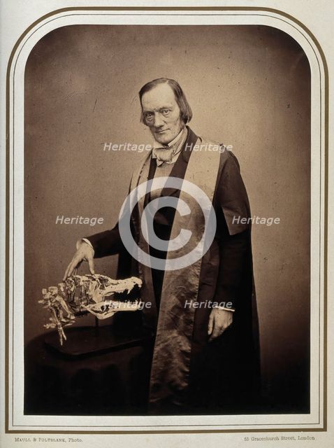 Sir Richard Owen. Creator: Maull & Polyblank.