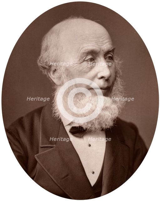 Sir Richard Redgrave, landscape painter, 1878.Artist: Lock & Whitfield