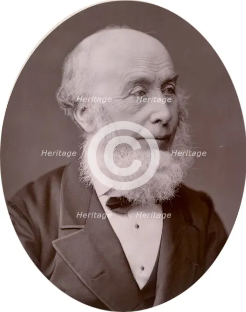 Sir Richard Redgrave, landscape painter, 1878. Creator: Lock & Whitfield.