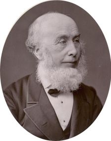 Sir Richard Redgrave, landscape painter, 1878. Creator: Lock & Whitfield