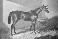 Sir Tatton Sykes 1842-1860, (1911)