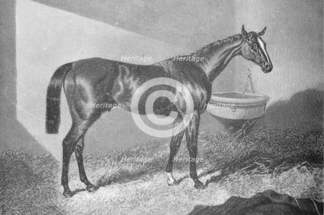 'Sir Tatton Sykes', 1842-1860, (1911). Artist: Unknown.