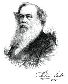 Sir Titus Salt, British manufacturer and benefactor, c1880