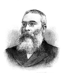 Sir Walter Besant, 1895. Creator: P Naumann