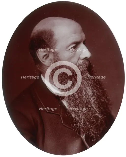 Sir Wilfrid Lawson, politician, MP for Carlisle, 1882. Creator: Lock & Whitfield.