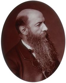 Sir Wilfrid Lawson, politician, MP for Carlisle, 1882. Creator: Lock & Whitfield