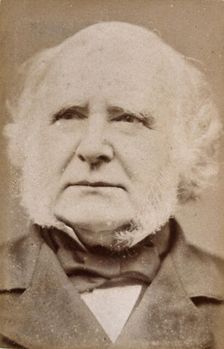 Sir William James Erasmus Wilson, c1870s. Creator: Barraud