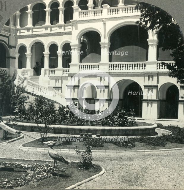 'Sirdar's Palace (Site of General Gordon's Death) and Shoebill Stork, Khartoum', c1930s. Creator: Unknown.