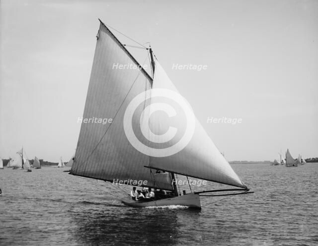Sirene, 1891 July 11. Creator: John S Johnston.
