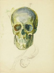 Skull, c1910s. Creator: Verner Thome