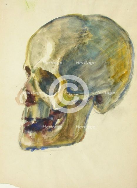 Skull, c1910s. Creator: Verner Thome.