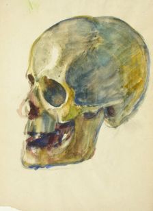 Skull, c1910s. Creator: Verner Thome