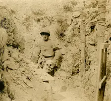 Skull found buried in the trenches, c1914-c1918