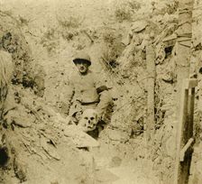 Skull found buried in the trenches, c1914-c1918