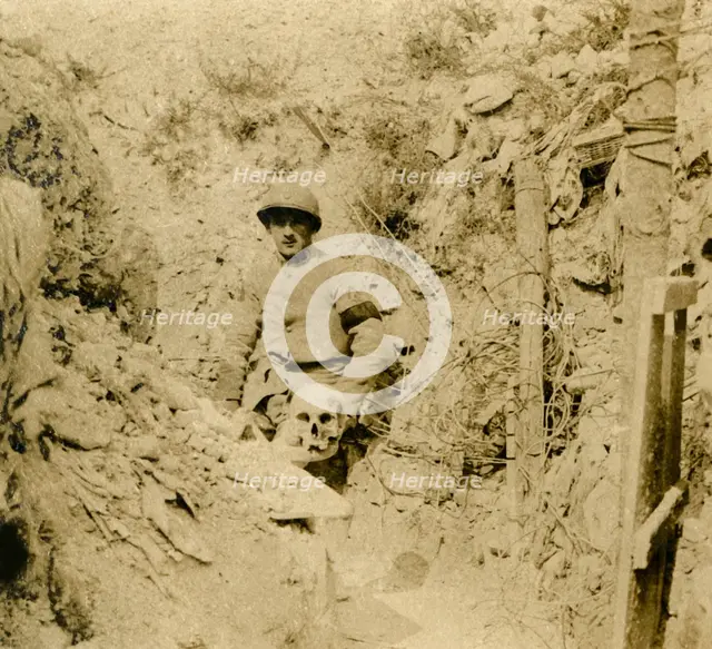 Skull found buried in the trenches, c1914-c1918. Artist: Unknown.