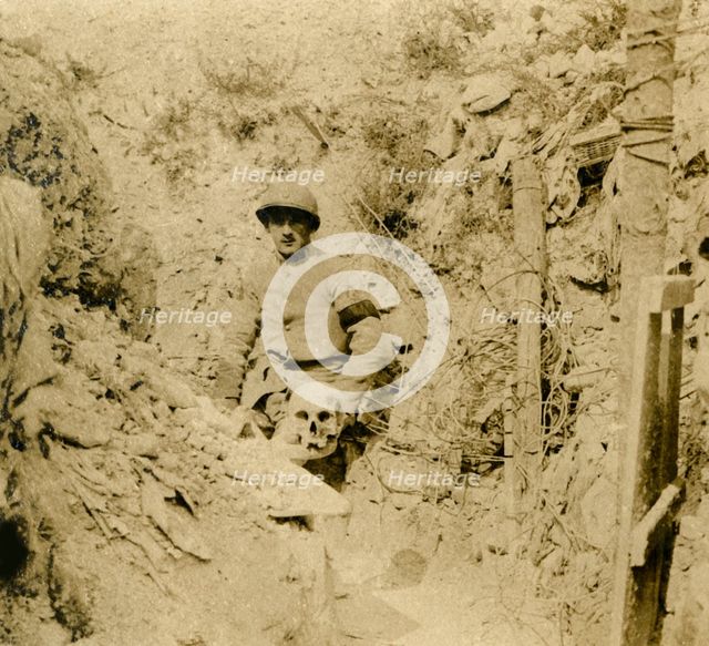 Skull found buried in the trenches, c1914-c1918. Artist: Unknown.