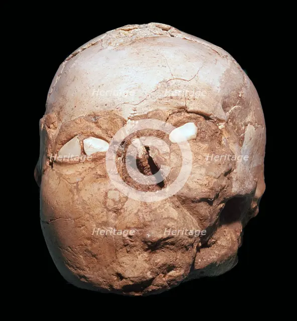 Skull from Jericho, modelled with plaster and shells. Artist: Unknown