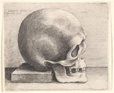Skull in profile to right, 1645. Creator: Wenceslaus Hollar