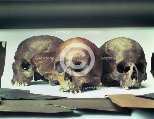 Skulls found in the stream-bed of the Walbrook, London, (60 AD?). Creator: Unknown.
