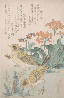 Skylarks and Primroses..., ca. 1805-10. Creator: Kubo Shunman