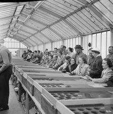 Skegness, East Lindsey, Lincolnshire, 22/05/1954. Creator: John Laing plc
