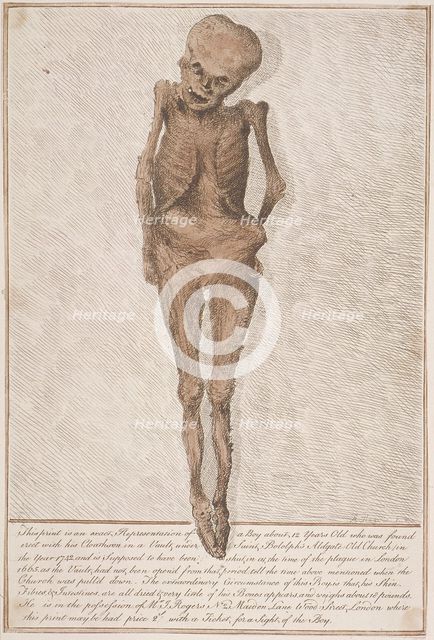 Skeleton of boy found in the vault at St Botolph, Aldgate, London, 1742. Artist: HA Rogers