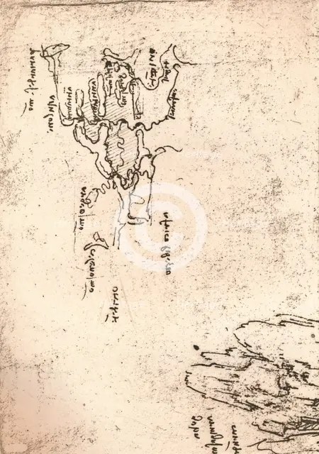 Sketch map of Armenia, c1472-c1519 (1883). Artist: Leonardo da Vinci.