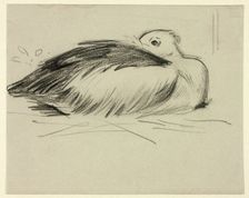Sketch of Nesting Stork, n.d. Creator: Henry Stacy Marks