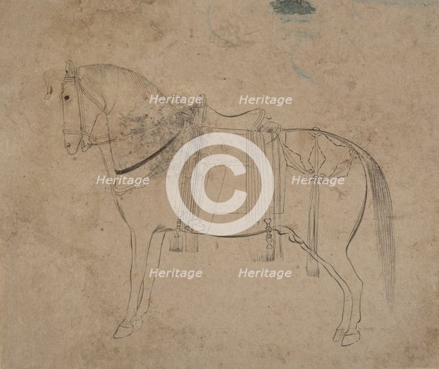Sketch of a Horse, late 18th century. Creator: Unknown.