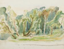 Sketch of a landscape with trees, mid 20th century. Creator: Rodney Burn