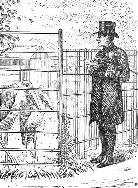 Sketch of a picture in the Royal Academy Exhibition: An Episcopal Visitation, H. S. Marks R.A., 1881 Creator: Unknown.