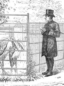 Sketch of a picture in the Royal Academy Exhibition: An Episcopal Visitation, H. S. Marks R.A., 1881 Creator: Unknown