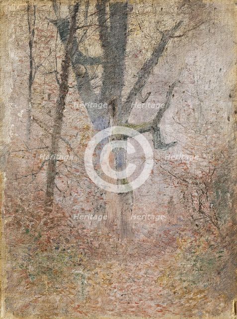 Sketch of Autumn Forest, 1880-1900. Creator: Ladislav Mednyanszky.