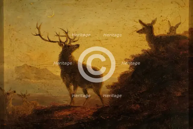 Sketch of Deer - Evening, 1850-1870. Creator: James William Giles.