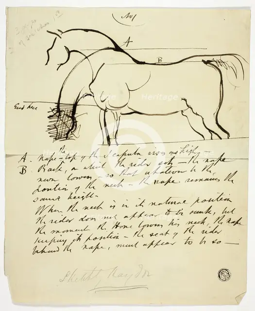Sketch of Horse with Notations, n.d. Creator: Benjamin Robert Haydon.