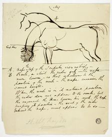 Sketch of Horse with Notations, n.d. Creator: Benjamin Robert Haydon