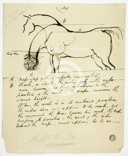 Sketch of Horse with Notations, n.d. Creator: Benjamin Robert Haydon.