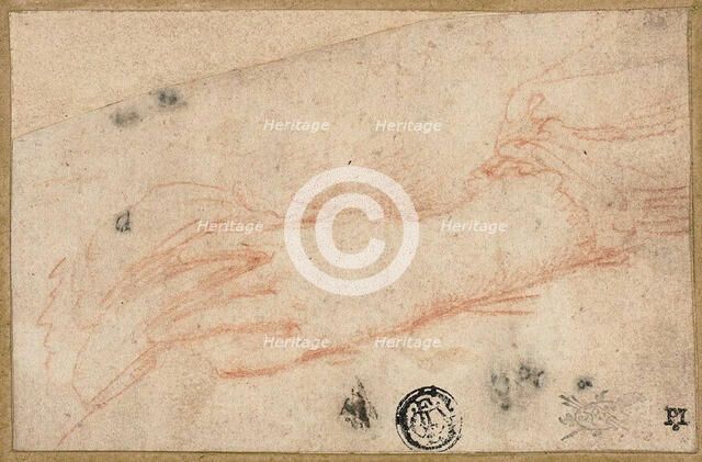 Sketch of Left Hand and Wrist, 1535/40. Creator: Parmigianino.