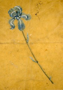 Sketch for the Tiffany Iris Corsage Ornament, c1900. Creator: George Paulding Farnham