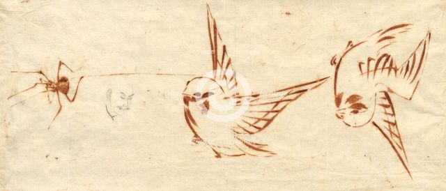 Sketch Page with Birds and Spider. Creator: Katsushika Hokusai (Japanese, 1760-1849), attributed to.
