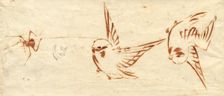 Sketch Page with Birds and Spider. Creator: Katsushika Hokusai (Japanese, 1760-1849), attributed to